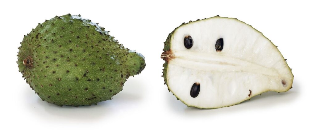 soursop tree, soursop fruit