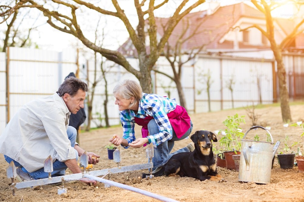 The Power of Urban Tree Planting Initiatives 1